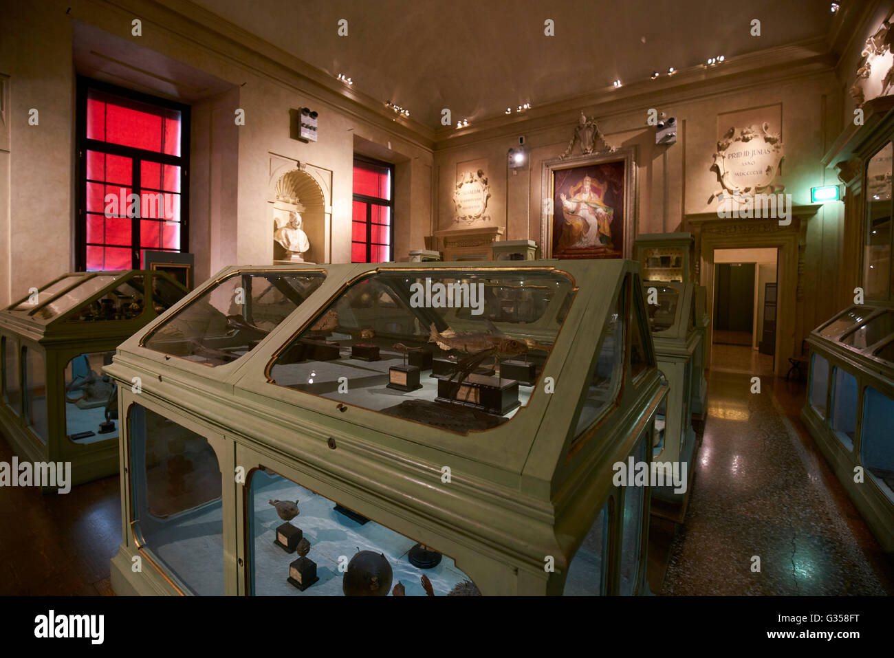 Anatomical models at the Poggi Museum (Museo Poggi) in the Palazzo