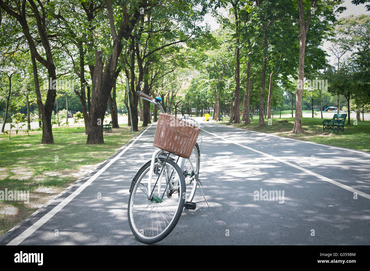 Stock Photo - old  bicycle in fresh summer park Stock Photo