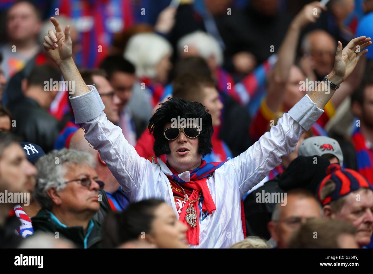 A Palace fan dressed ass Elvis during the Emirates FA Cup Final between ...