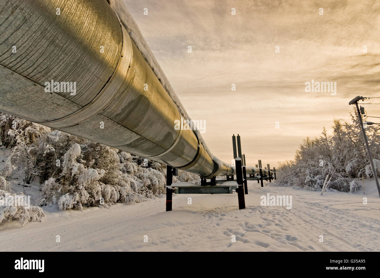 Trans-Alaska Oil Pipeline Stock Photo