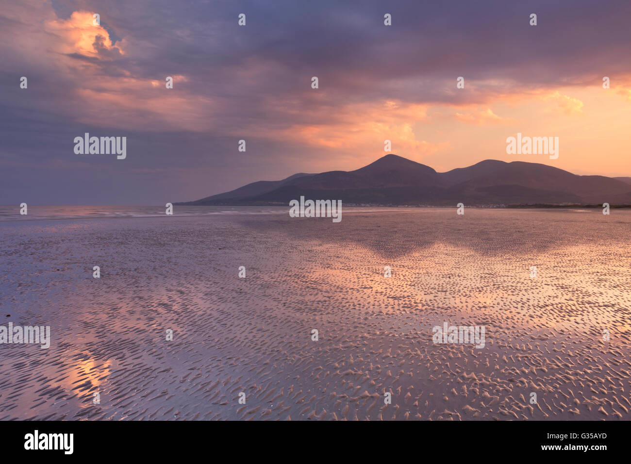 The Mourne Mountains in Northern Ireland at sunset, photographed from Murlough Beach. Stock Photo