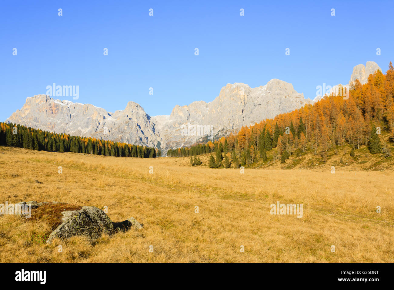 Autumn landscape from italian Alps. Yellow trees. Beautiful dolomites view Stock Photo