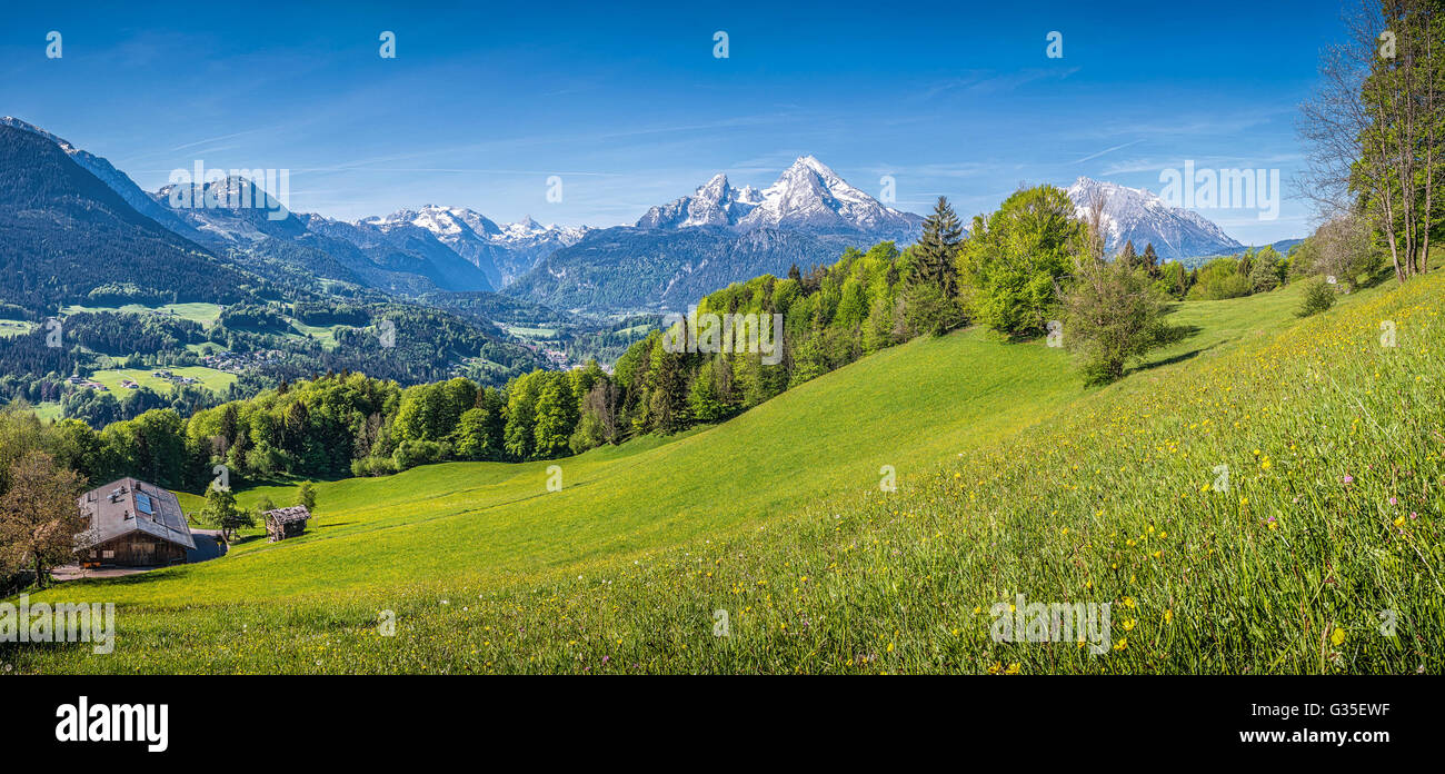 Idyllic Landscape In The Alps With Fresh Green Meadows Blooming