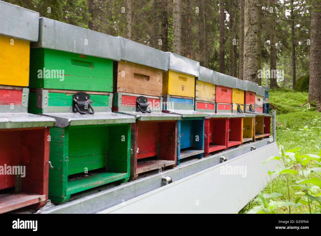 Number of hives in a row, bee keeping, farming, honey, rural life Stock