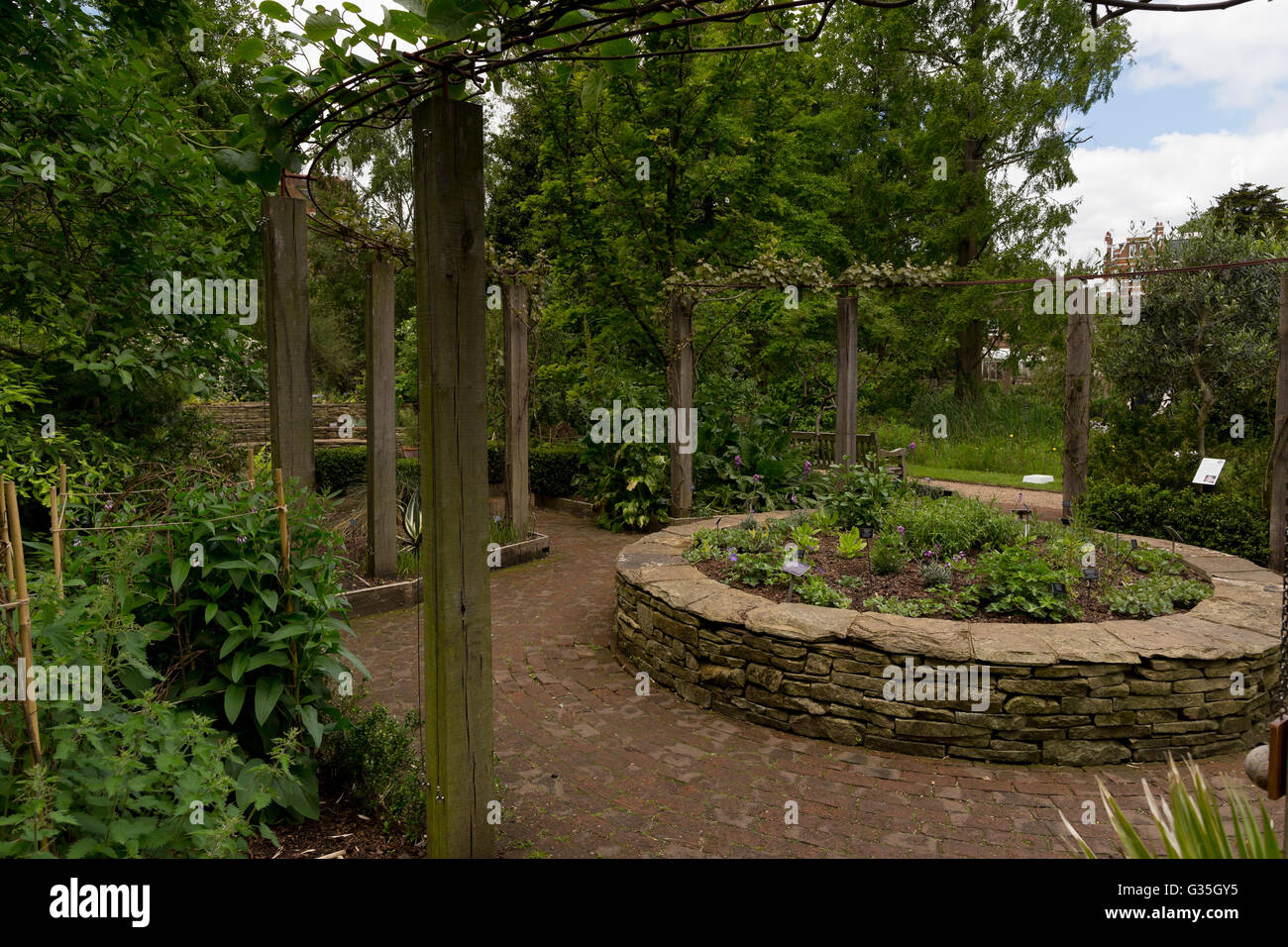 Chelsea Physic Garden - Garden of useful Plants/ Amphitheatre - Chelsea, London, UK, Europe Stock Photo