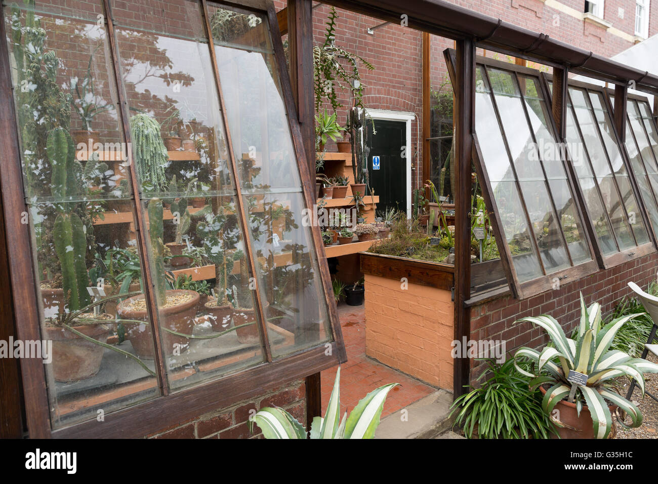 Chelsea physic garden cafe hires stock photography and images Alamy