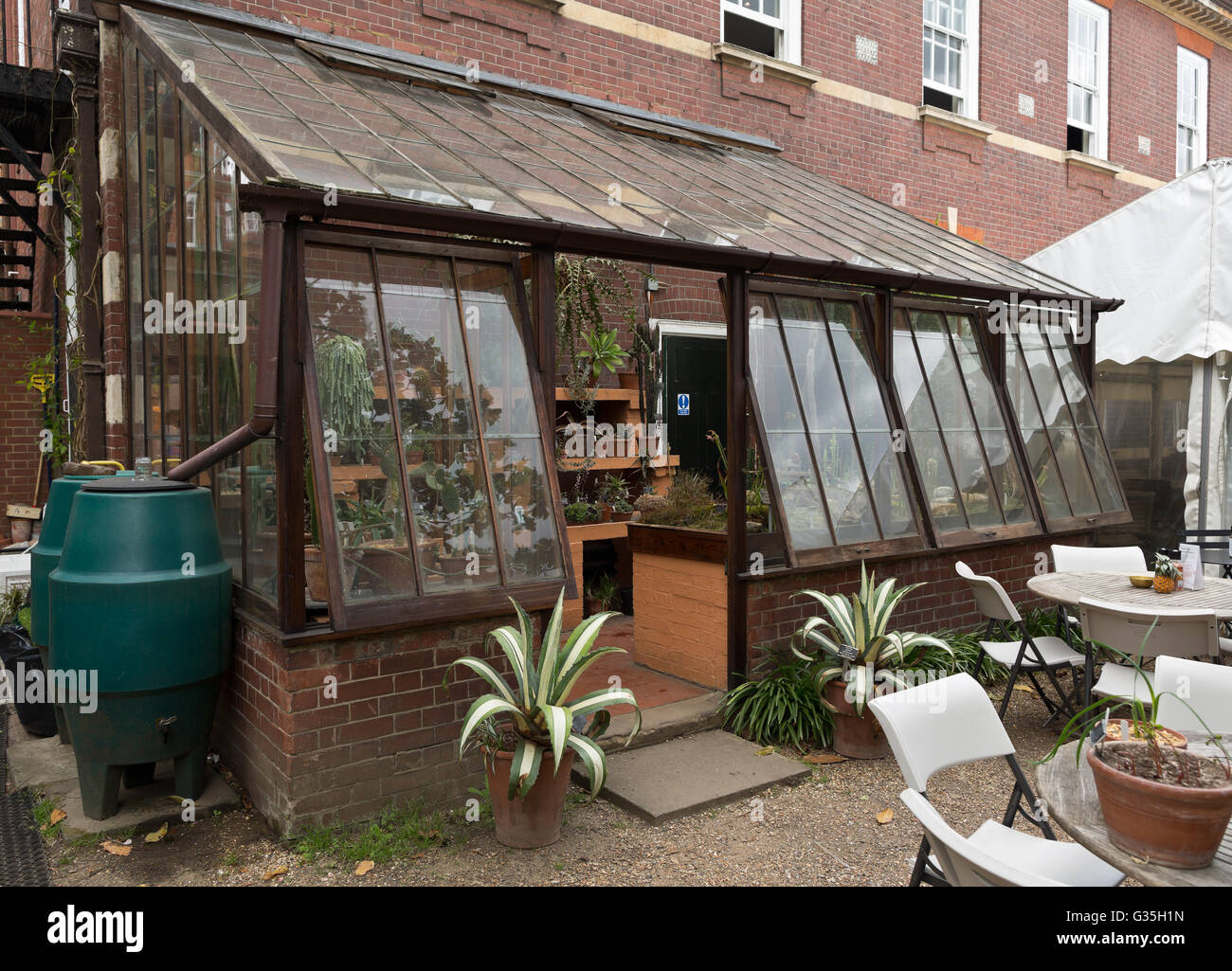 Chelsea Physic Garden Café Greenhouse - Chelsea, London, UK, Europe Stock Photo