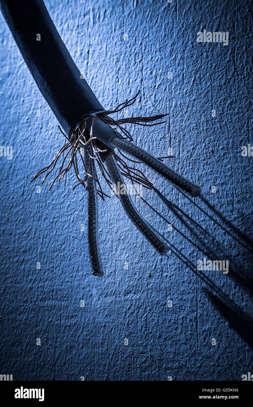 Cut and stripped electricity cable. Stock Photo