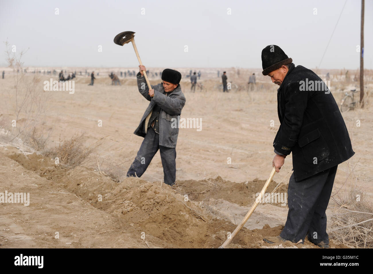 CHINA province Xinjiang, uighur villages around city Kashgar, uyghur worker prepare irrigation canals for a cotton field which belongs to a Han chinese investor Stock Photo