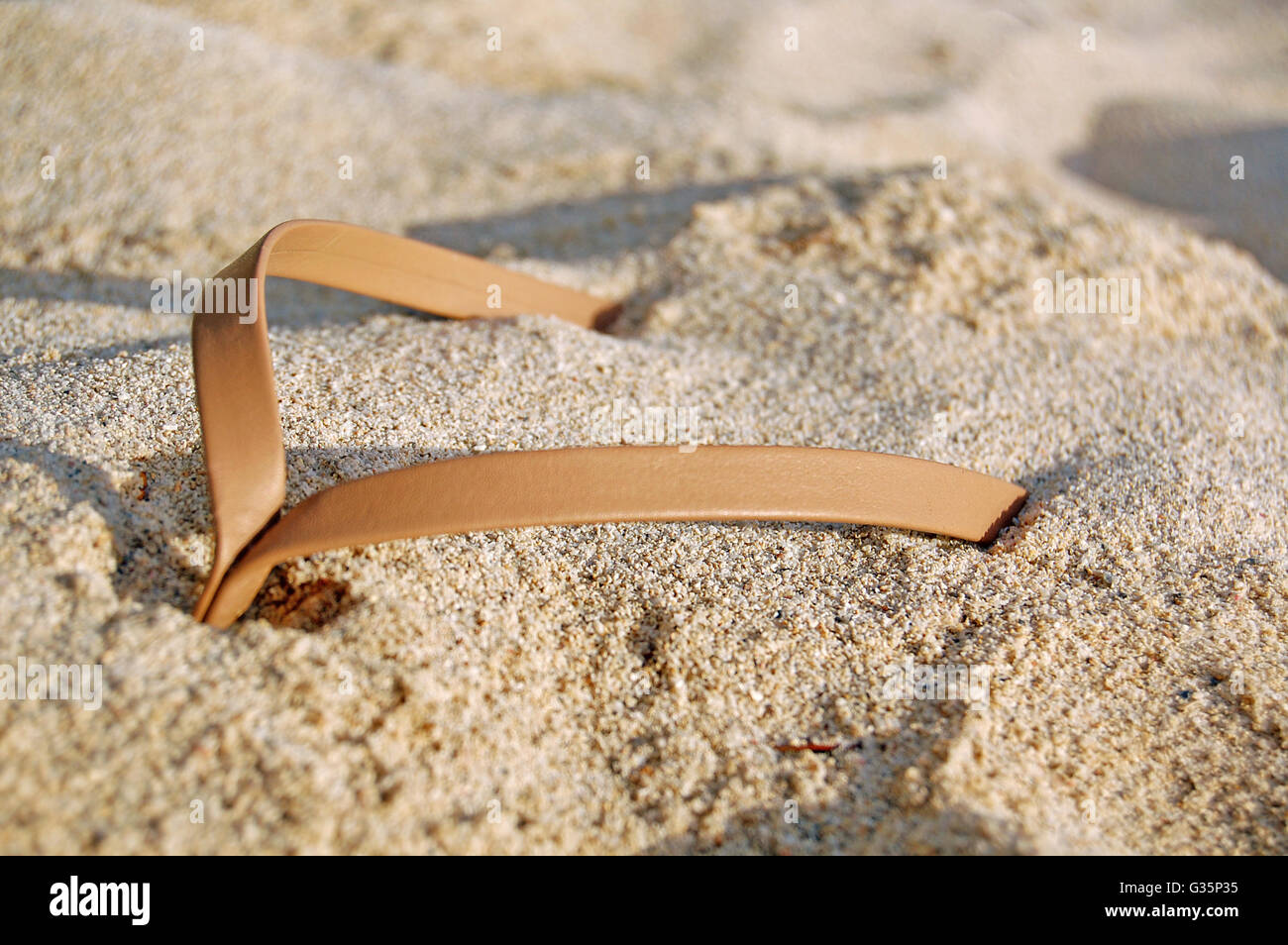 Thong sandal in the sand Stock Photo