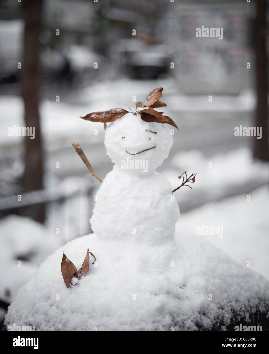 Mini Snowman Standing