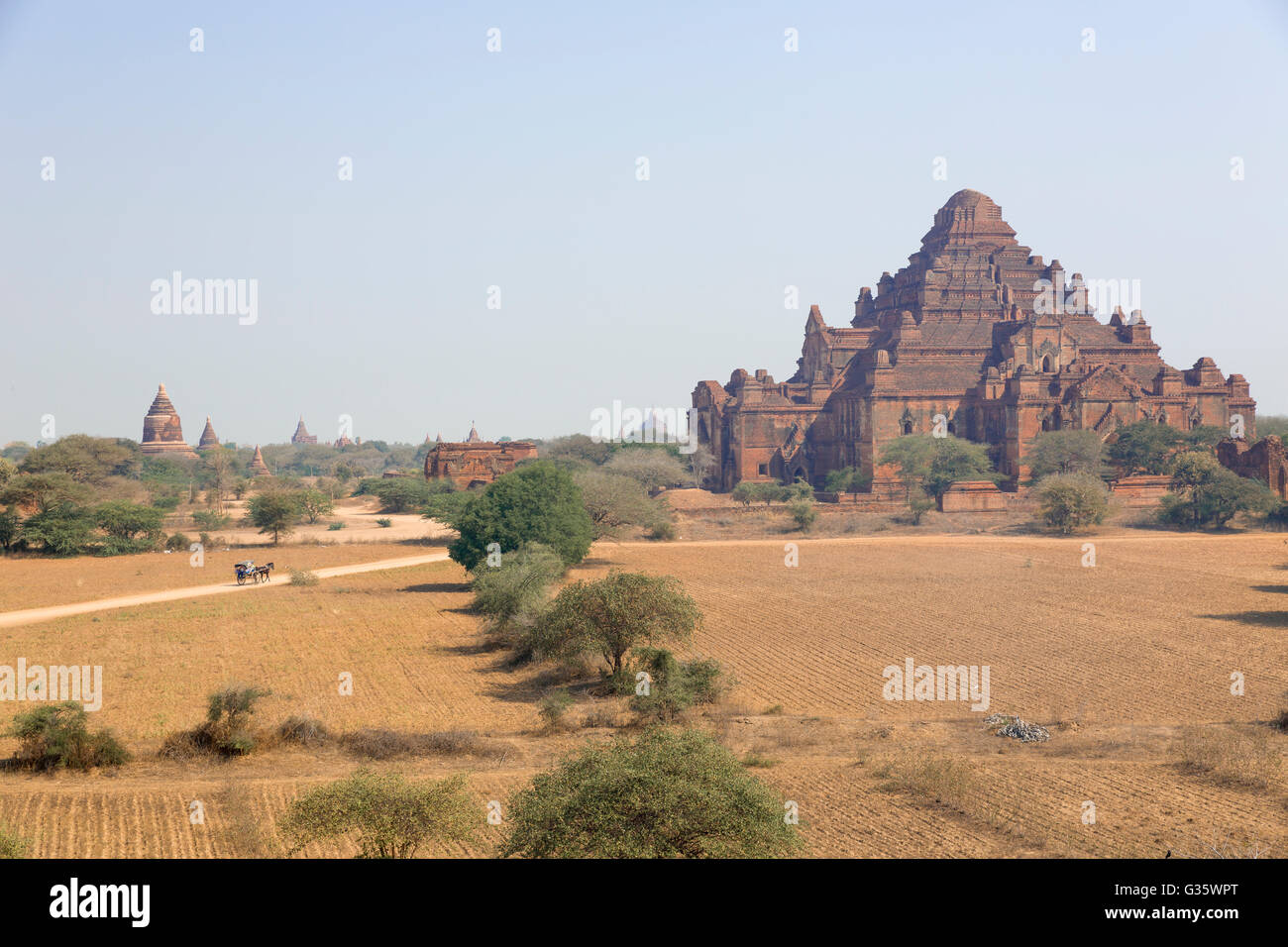 Temples of Bagan (Dhammayangyi Temple), Old Temple Architecture, Myanmar, Burma, South Asia, Asia Stock Photo