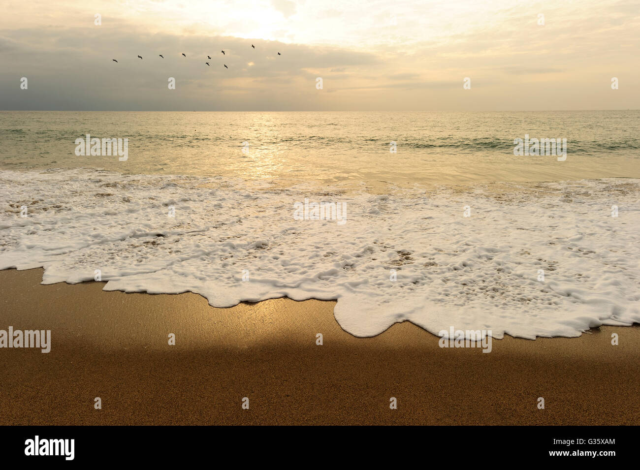 Beach sunset is a flock of birds flying in the ocean sky as a gentle wave rolls to the shore. Stock Photo