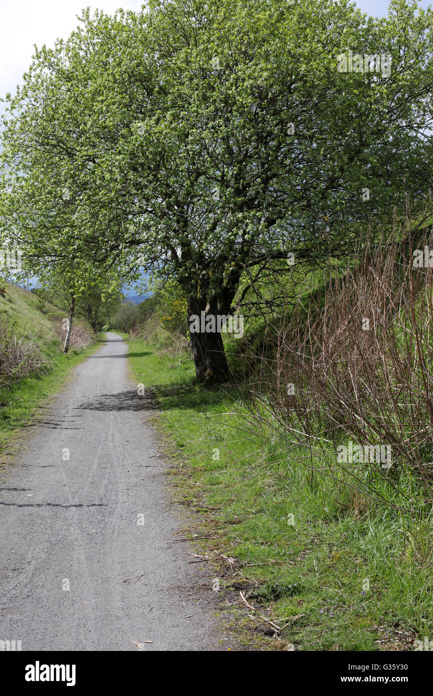 Surrounding views from the formatine and buchan way section between