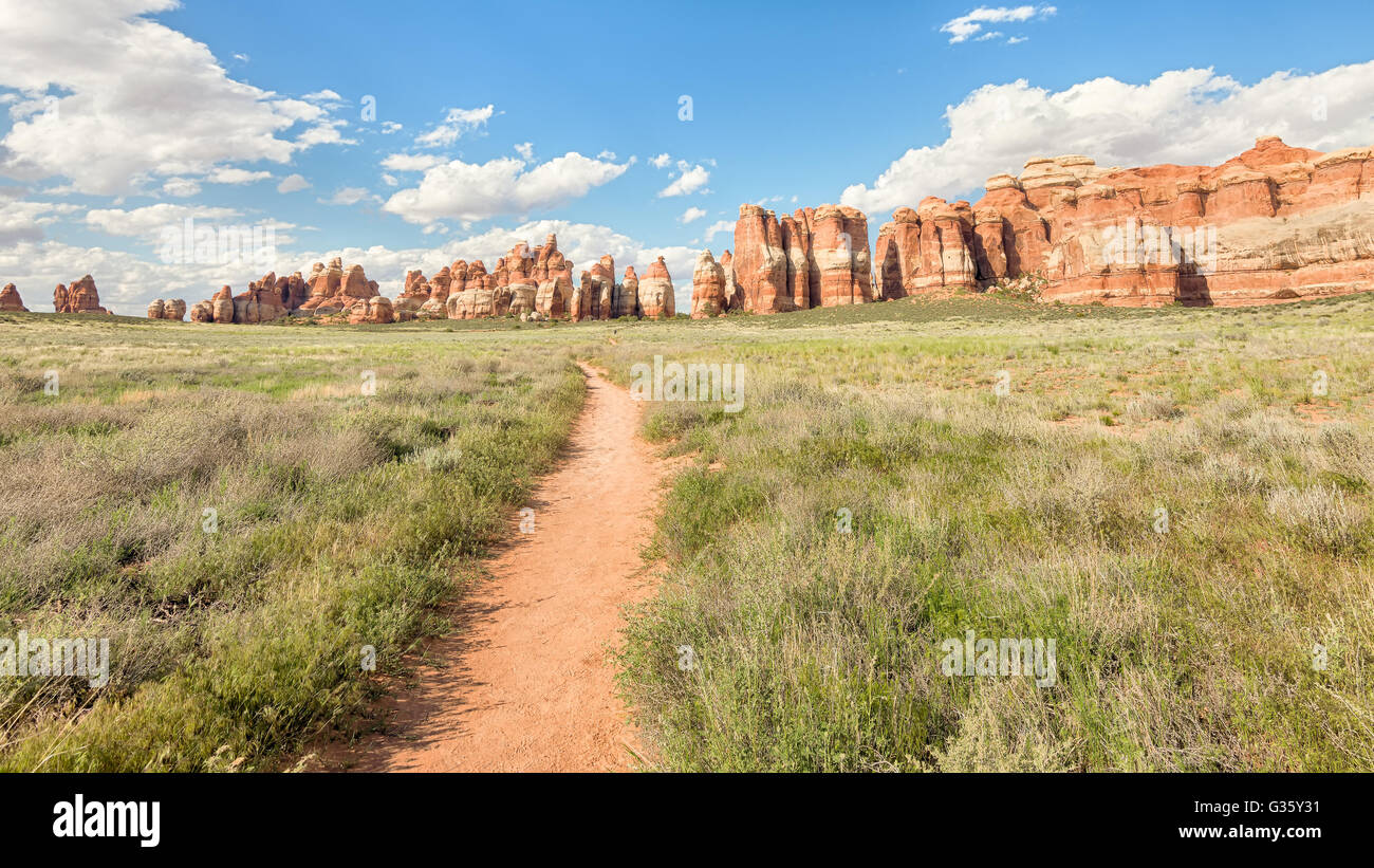 The trail beckons and fins dot the skyline on the Elephant Hill/Chesler Park Trail in the Needles District of Canyonlands Nation Stock Photo