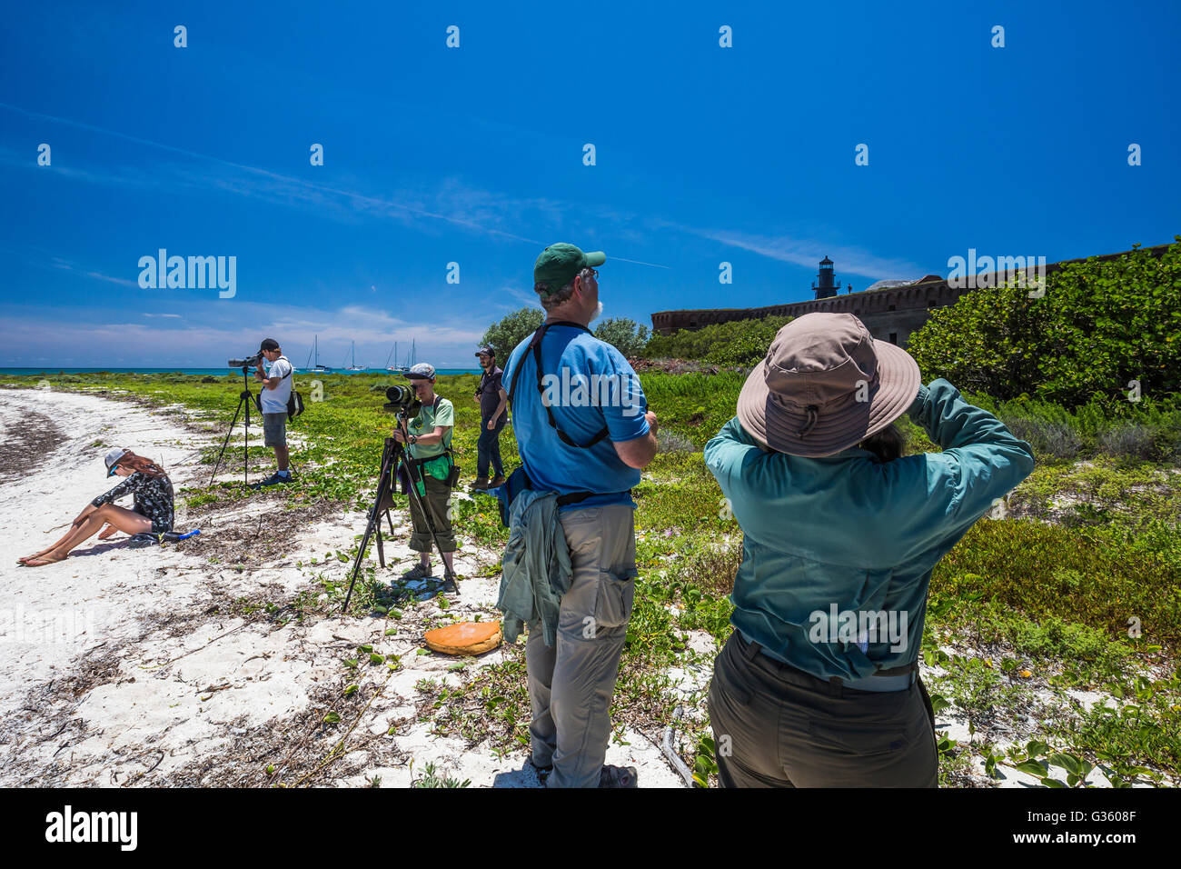 Birders on the beach ouside Fort Jefferson, Garden Key in Dry Tortugas National Park, Florida, USA Stock Photo