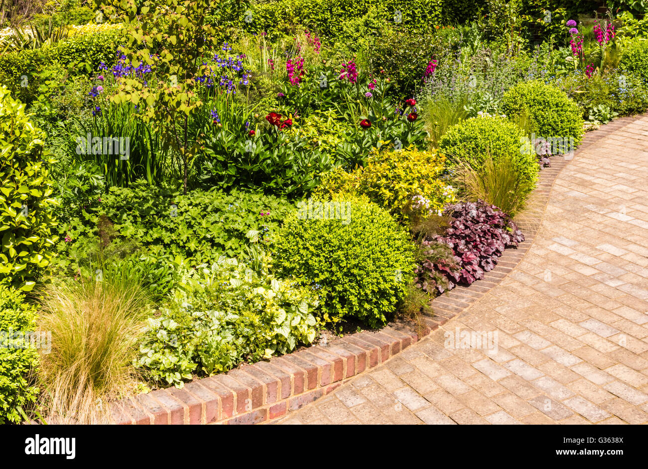 Wonderfully colourful flower display caught in the spring sun of a north London garden, UK. Stock Photo