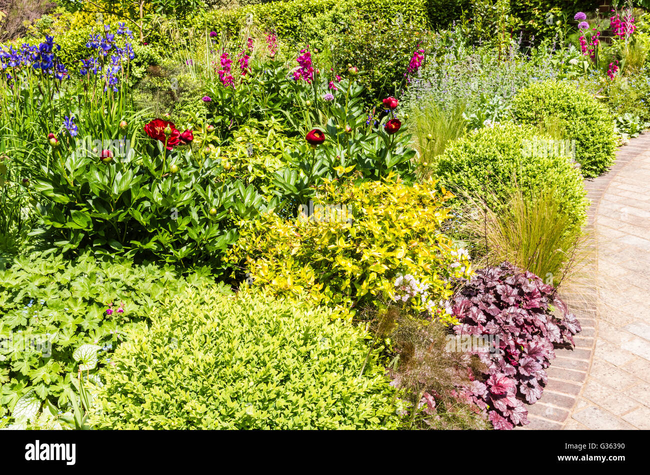 fWonderful display of flowers caught in the spring sun of a north London garden, UK. Stock Photo