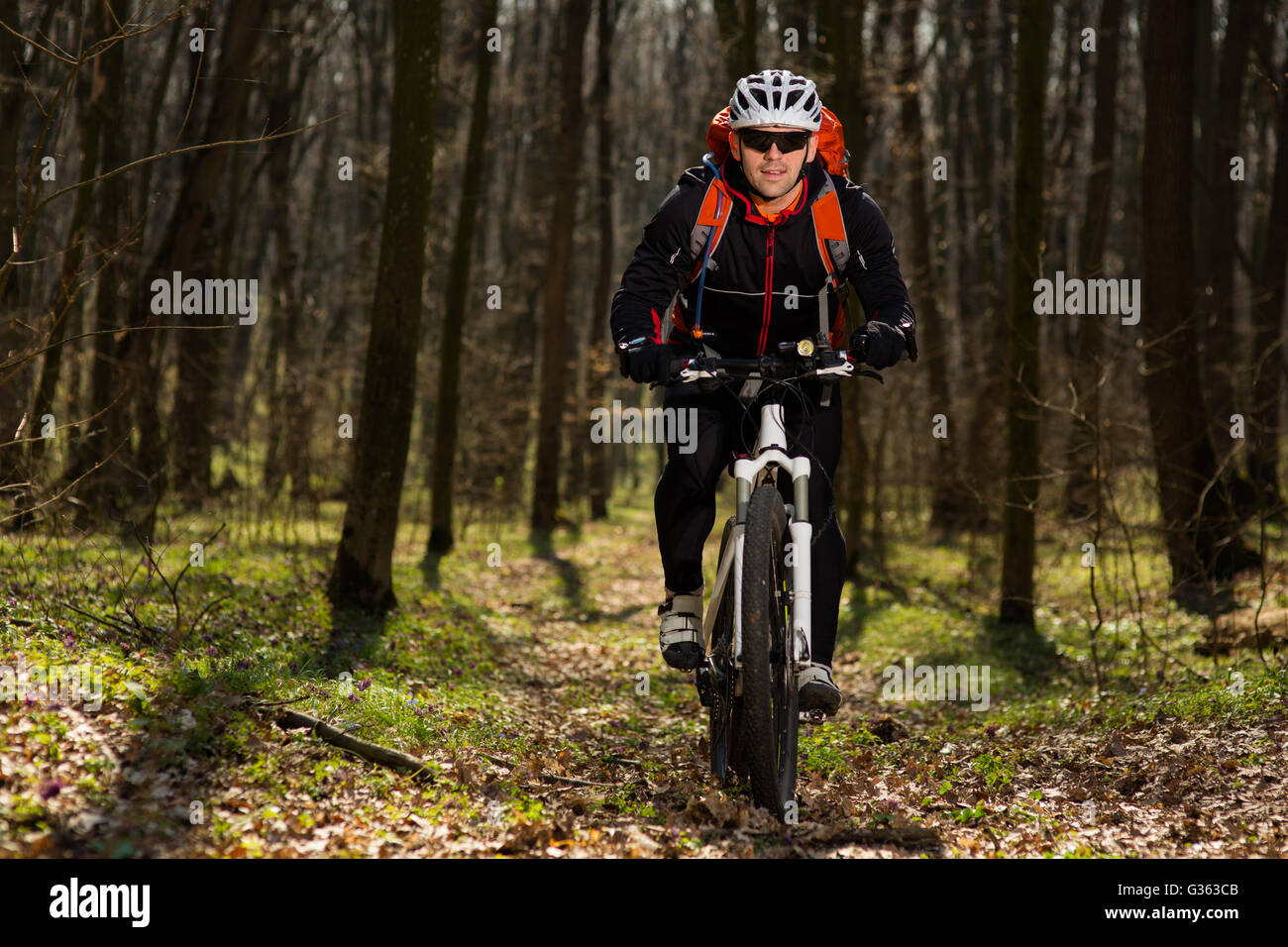 Cyclist in action at Freestyle Mountain Bike Session in green forest Stock Photo Alamy
