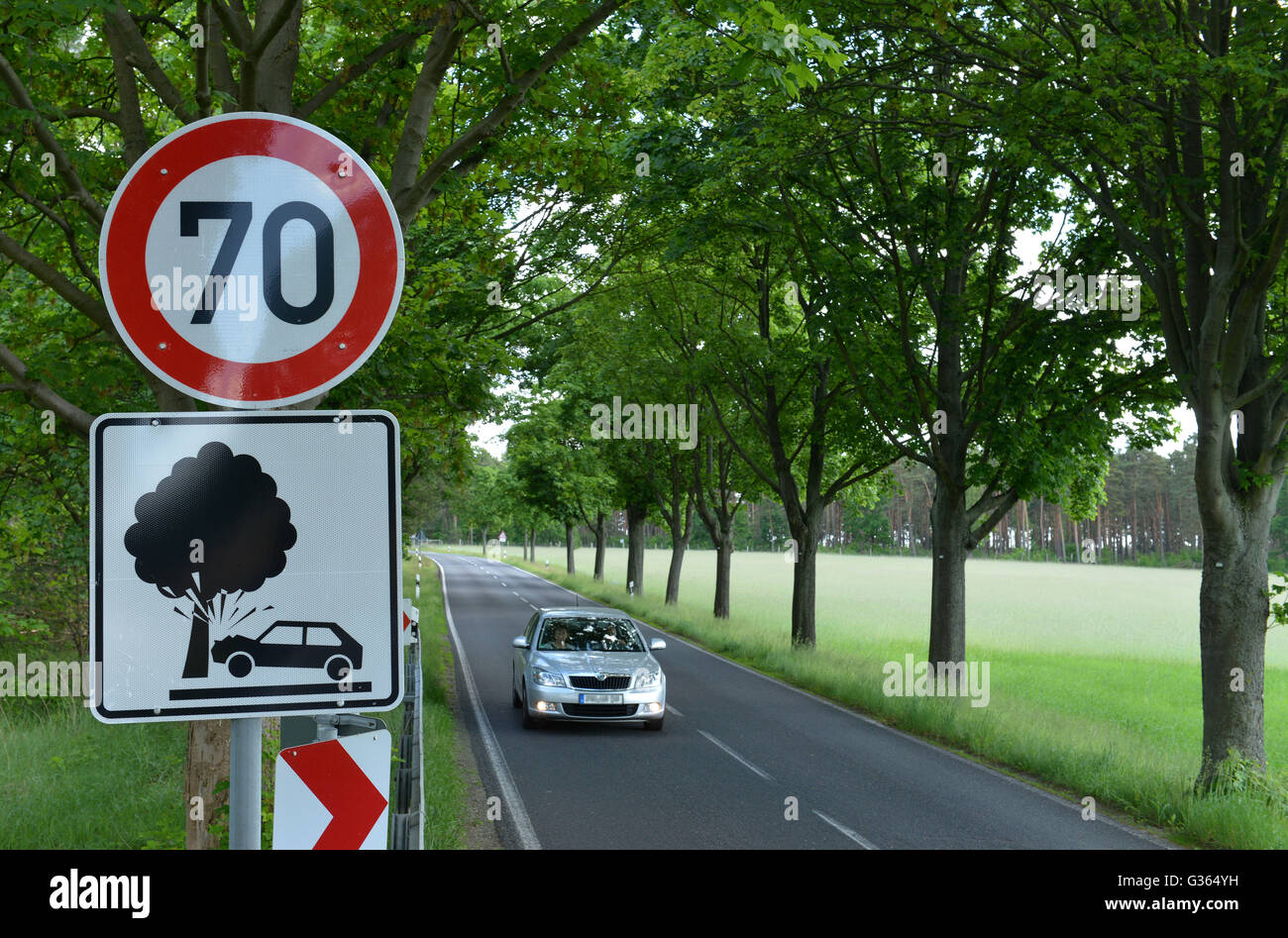 Avenue, county road, L88, Brandenburg, Germany Stock Photo