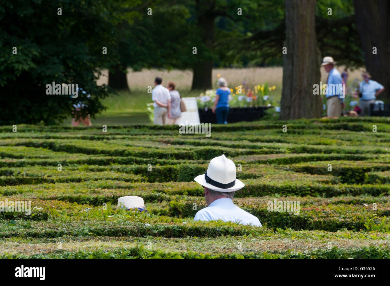 Chevening maze hi-res stock photography and images - Alamy