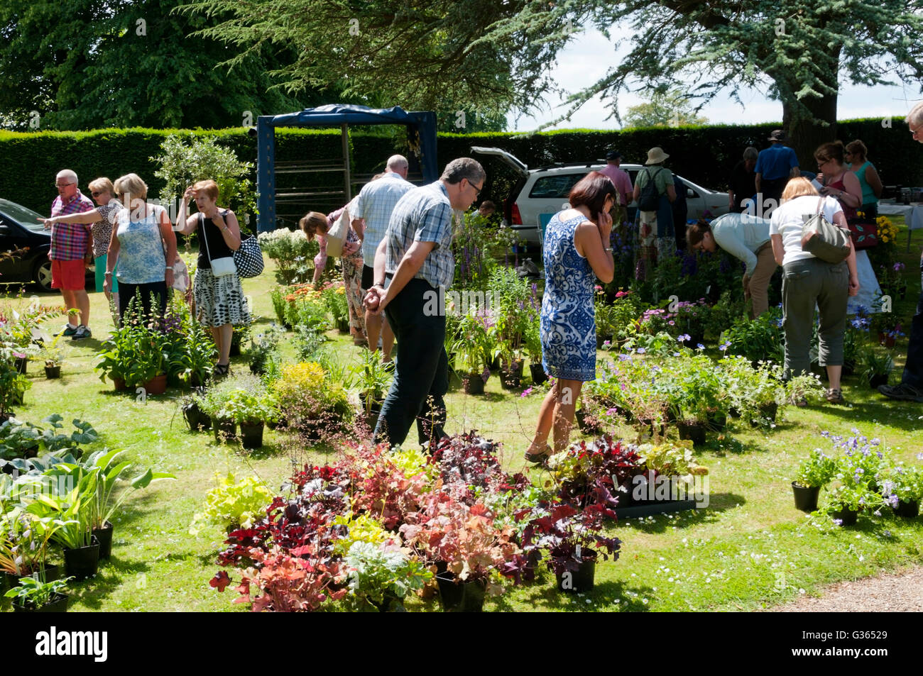 A plant sale in the grounds of Chevening House, a stately home in Kent. Stock Photo