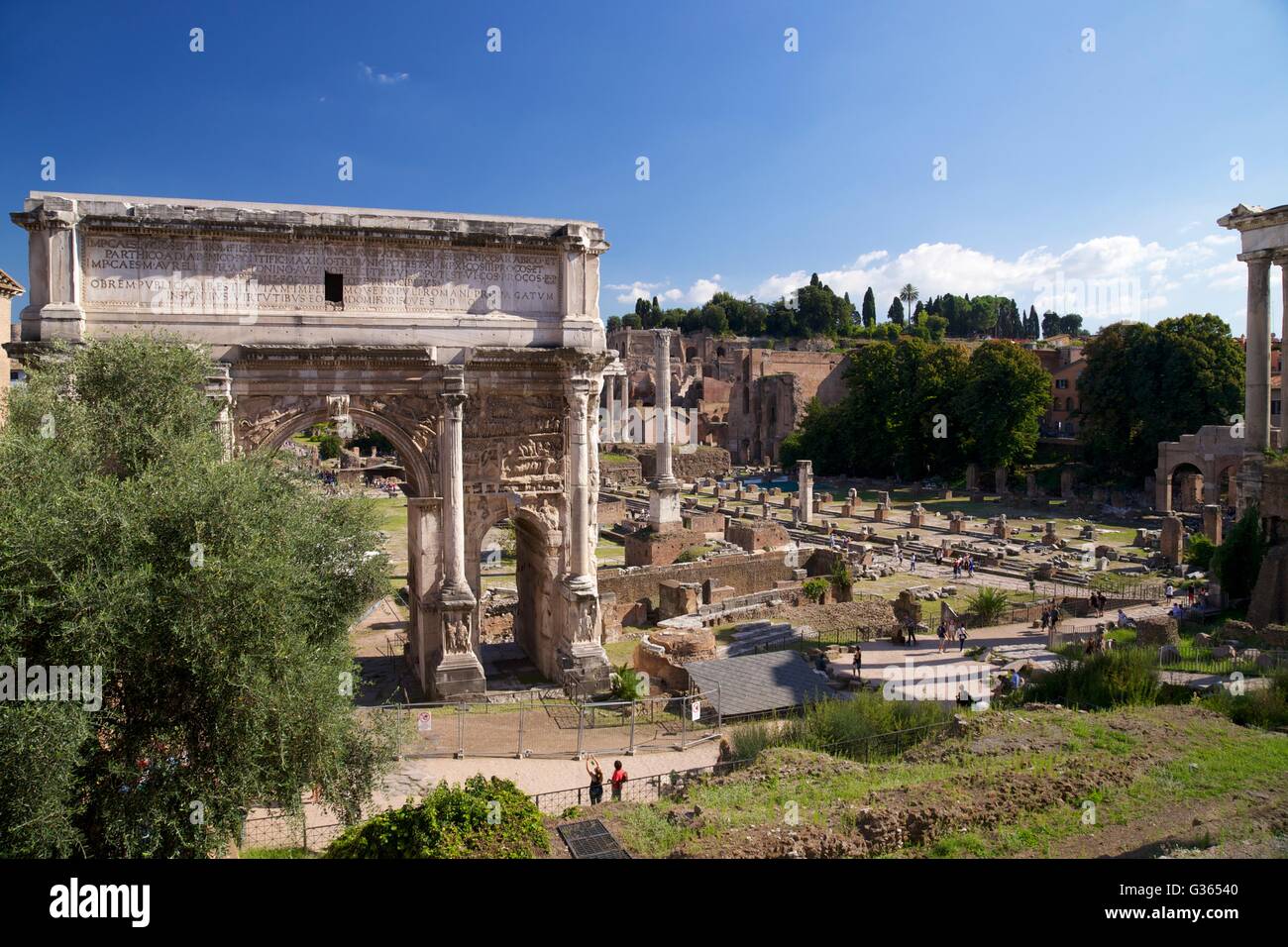 Triumphal Arch of Septimius Severus, Roman Forum, Rome, Italy, Europe Stock Photo