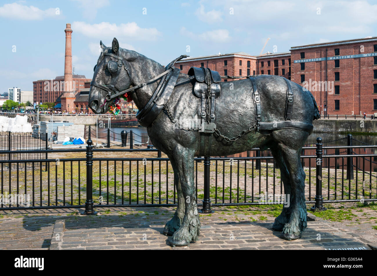 Horse with dock hires stock photography and images Alamy