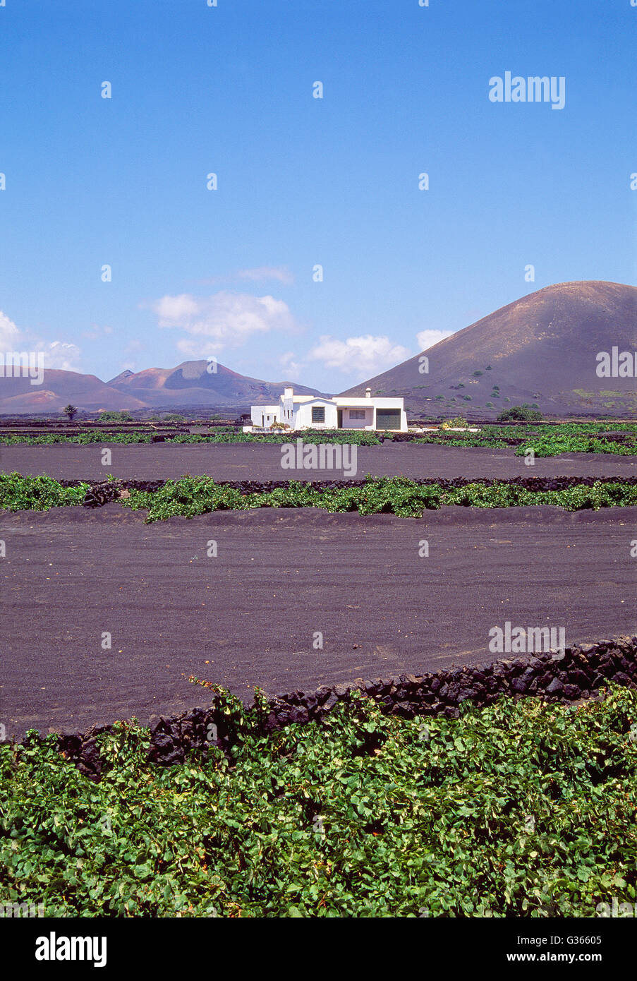 Casa de campo plantacion hi-res stock photography and images - Alamy