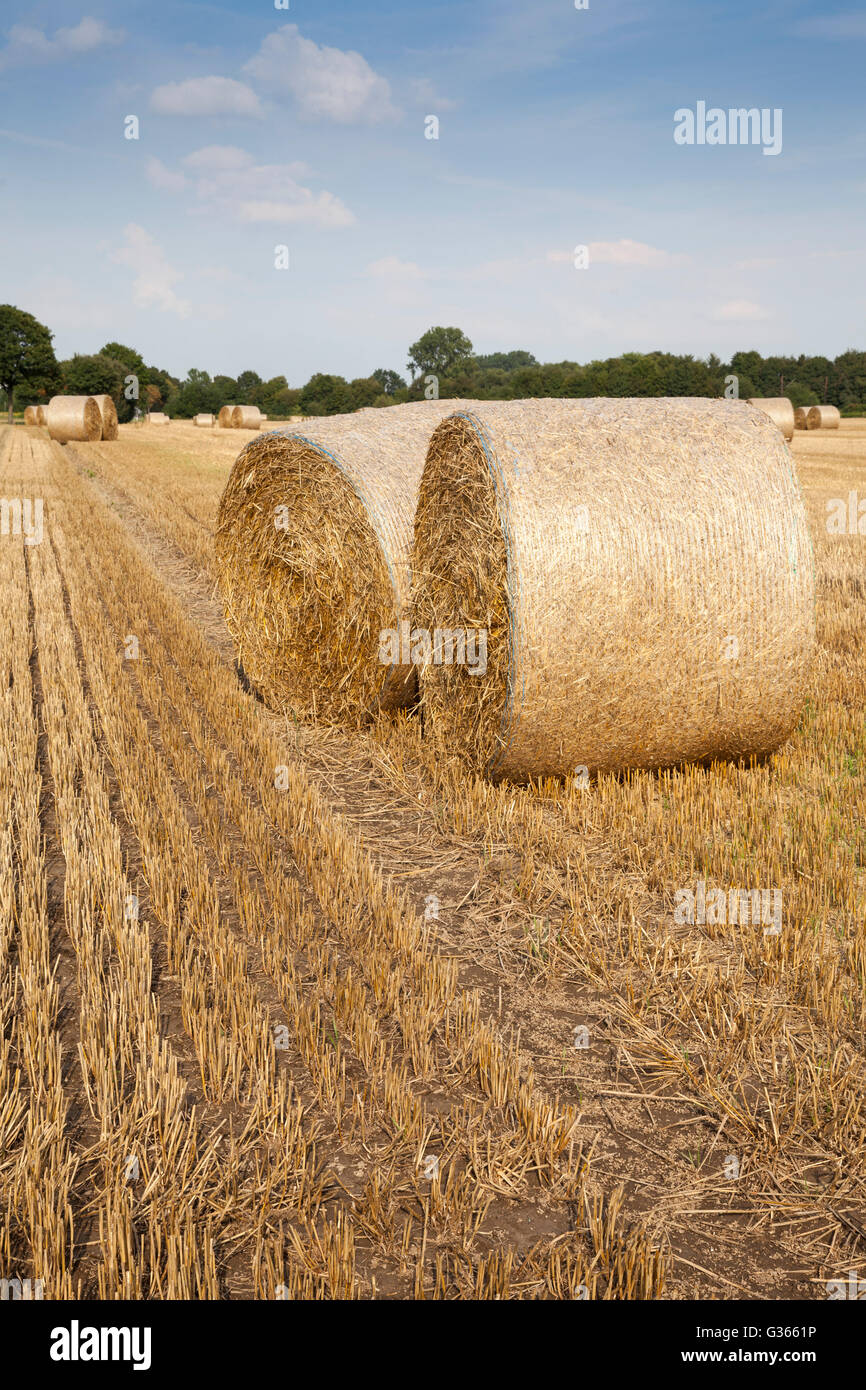 Stubble field with bale of straw Stock Photo Alamy