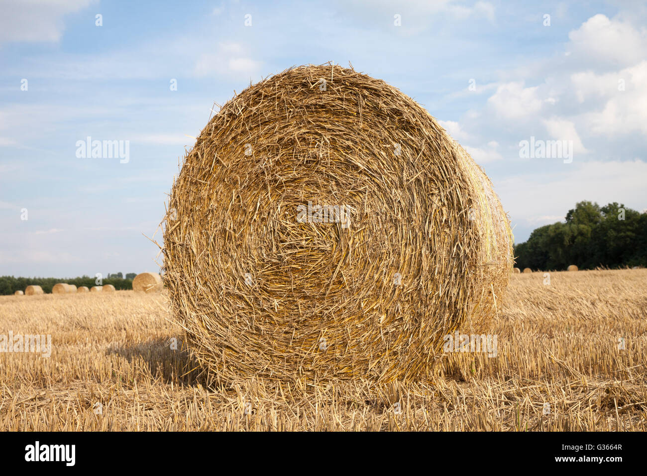 Stubble field with bale of straw Stock Photo - Alamy
