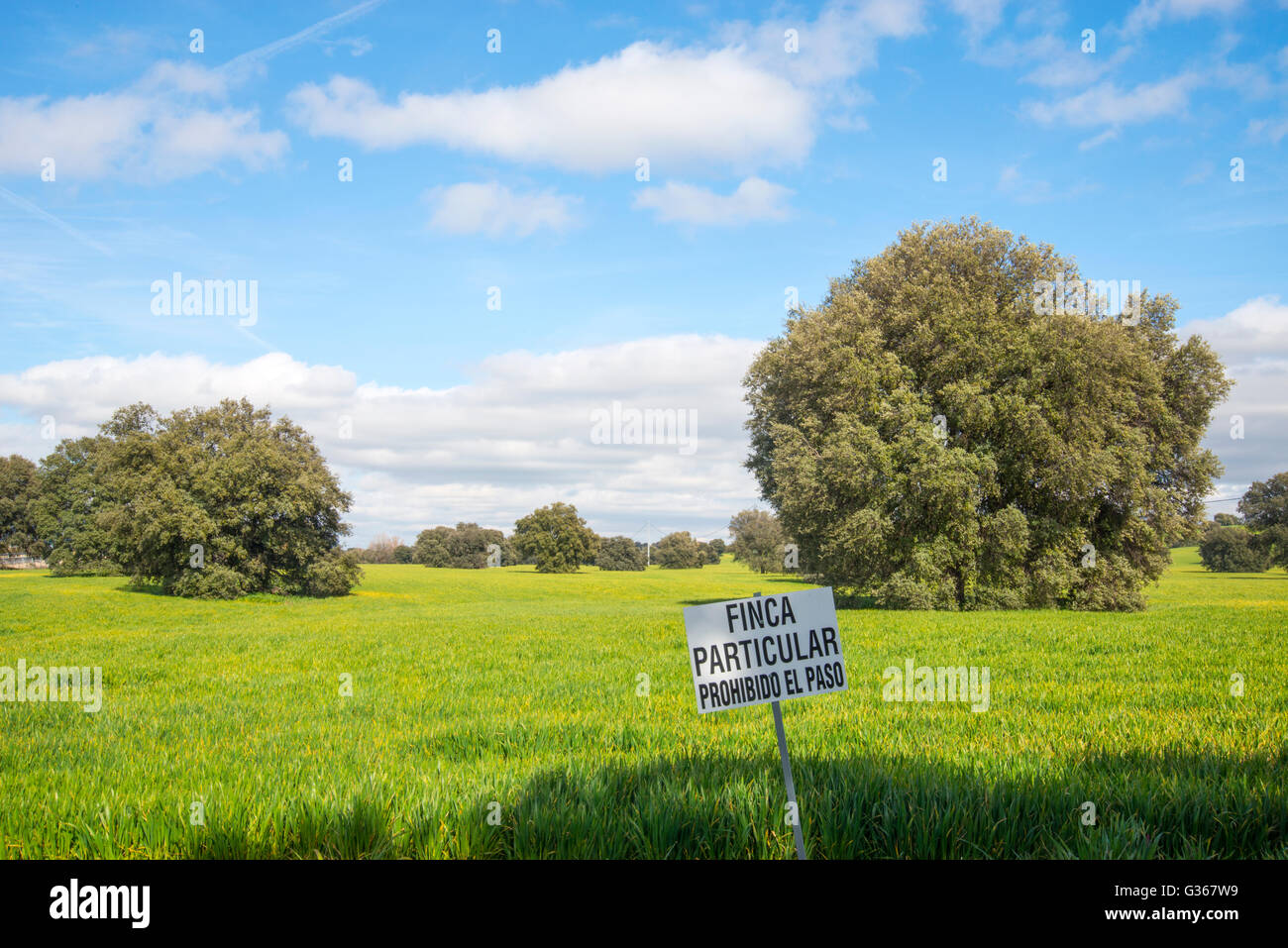 Meadow. Villamanta, Madrid province, Spain. Stock Photo
