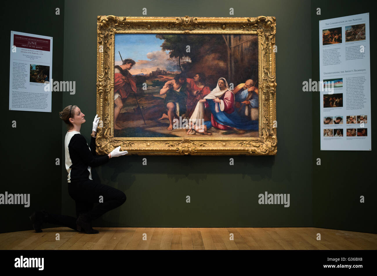Employee Emma Shaw positions Sebastiano del Piombo's (1485Ã¢Â€Â“1547) Adoration of the Shepherds c. 1510, at the Fitzwilliam Museum in Cambridge after a a 10-year research and conservation project, the painting will go on show for the first time in 70 years. Stock Photo