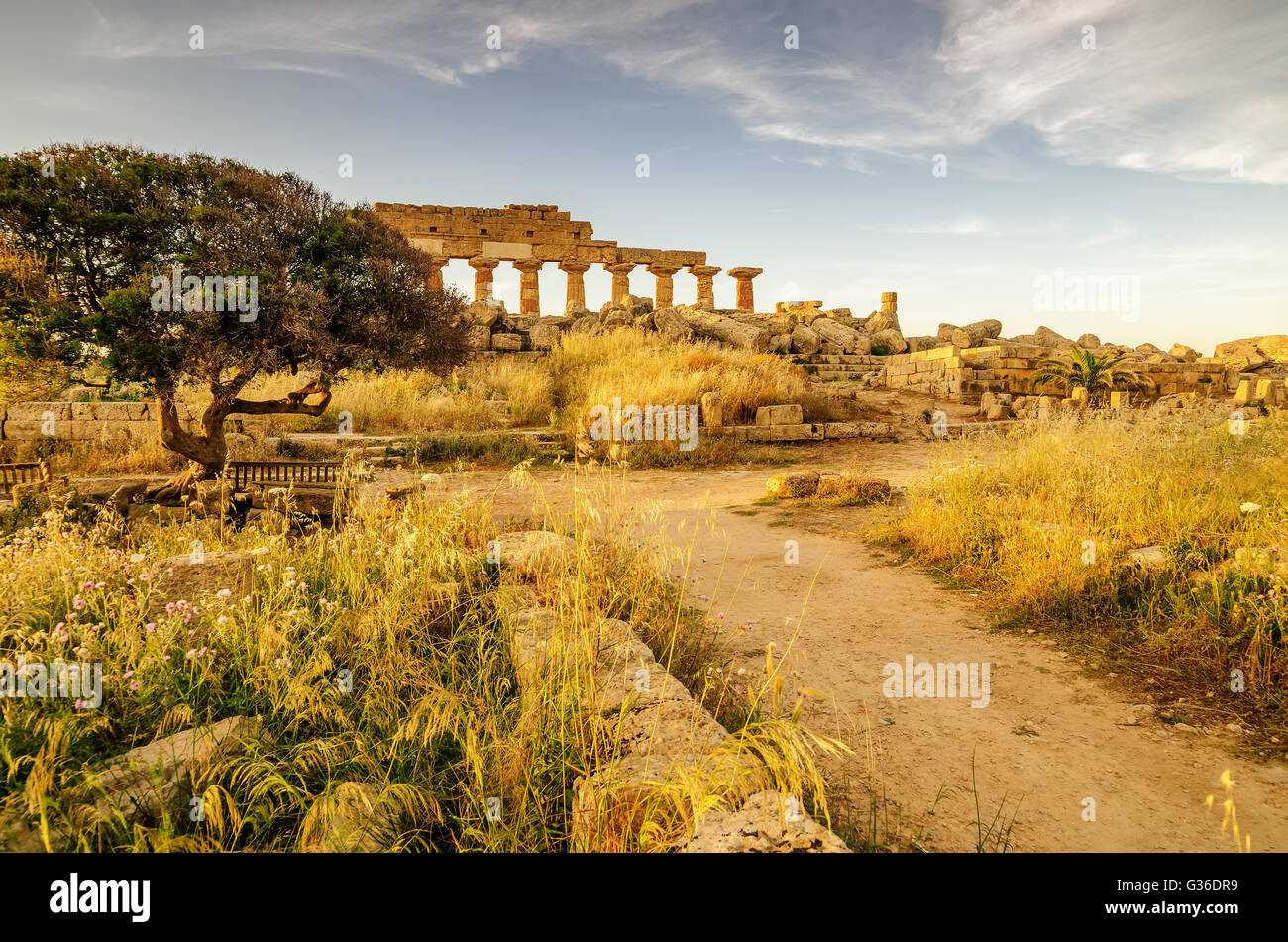 Sicily, Italy: Acropolis of Selinunte Stock Photo