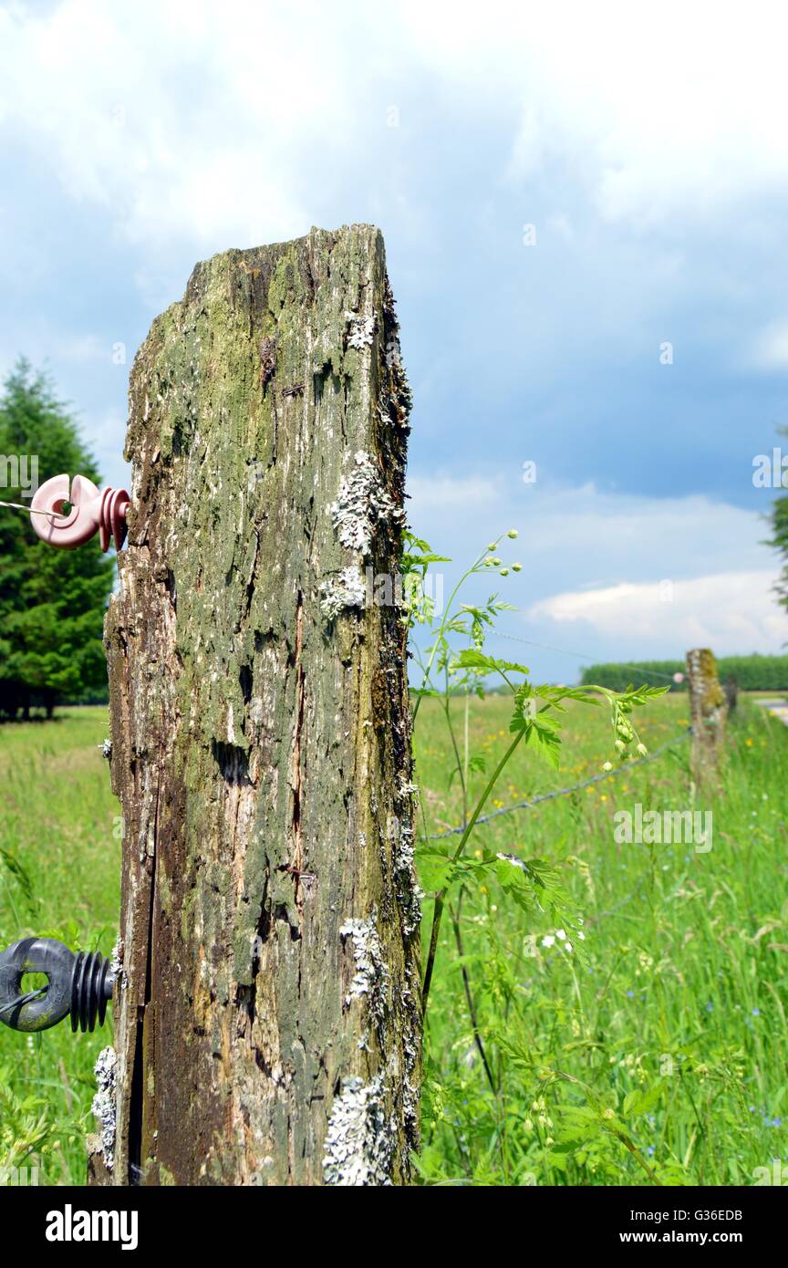 Fence in barbed iron and wooden pickets Stock Photo Alamy
