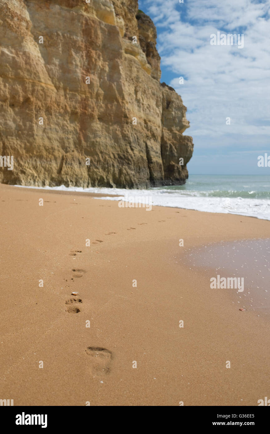 Footprints in the sand on the beach Stock Photo - Alamy