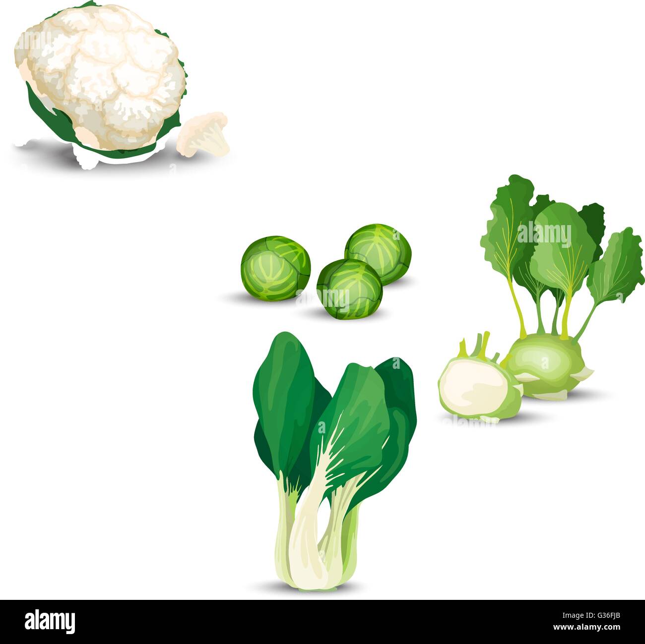 Vegetable set with cabbages Stock Vector