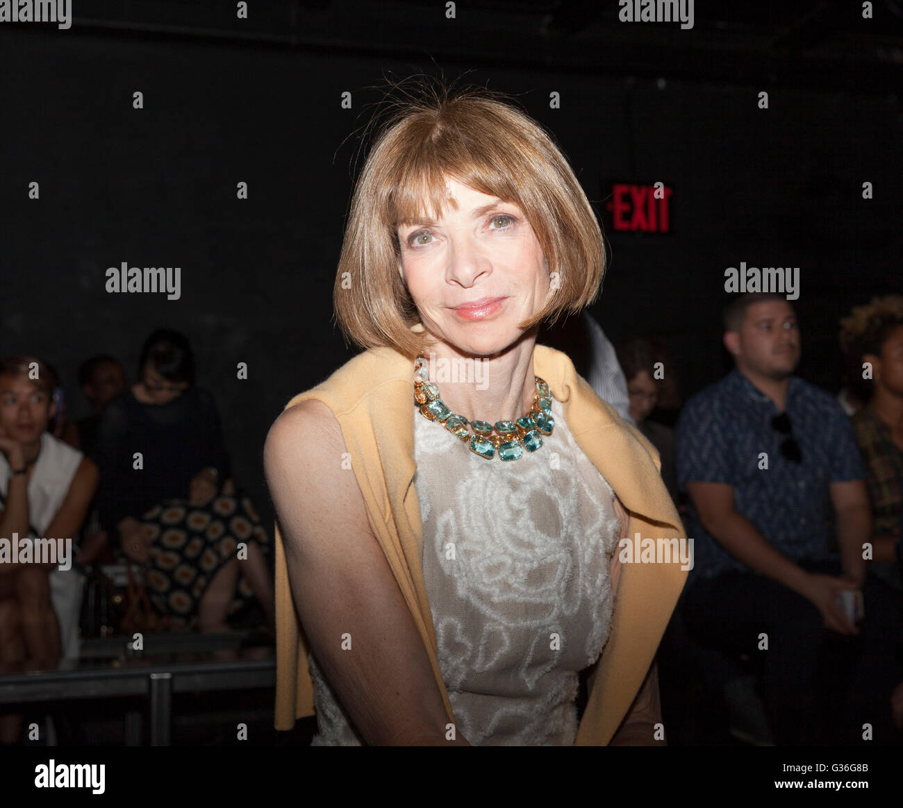 New York, NY USA - June 7, 2016: Anna Wintour attends runway for PUBLIC SCHOOL Spring 2017 Fashion Show by Dao-Yi Chow & Maxwell Osborne at Cedar Lake Stock Photo