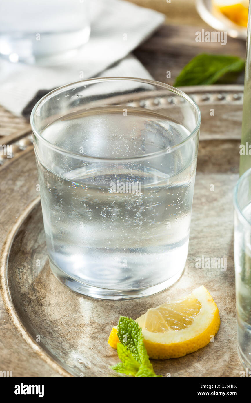 Refreshing Clear Sparkling Water with Lemon and Mint Stock Photo