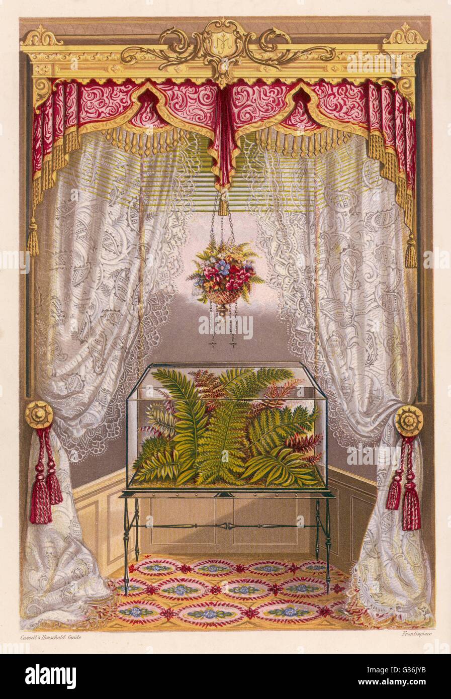 1875 Window Wardian case containing ferns used as window decoration. Date: circa ...