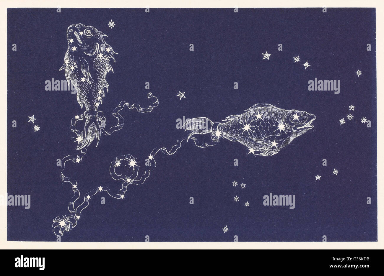 pisces constellation art