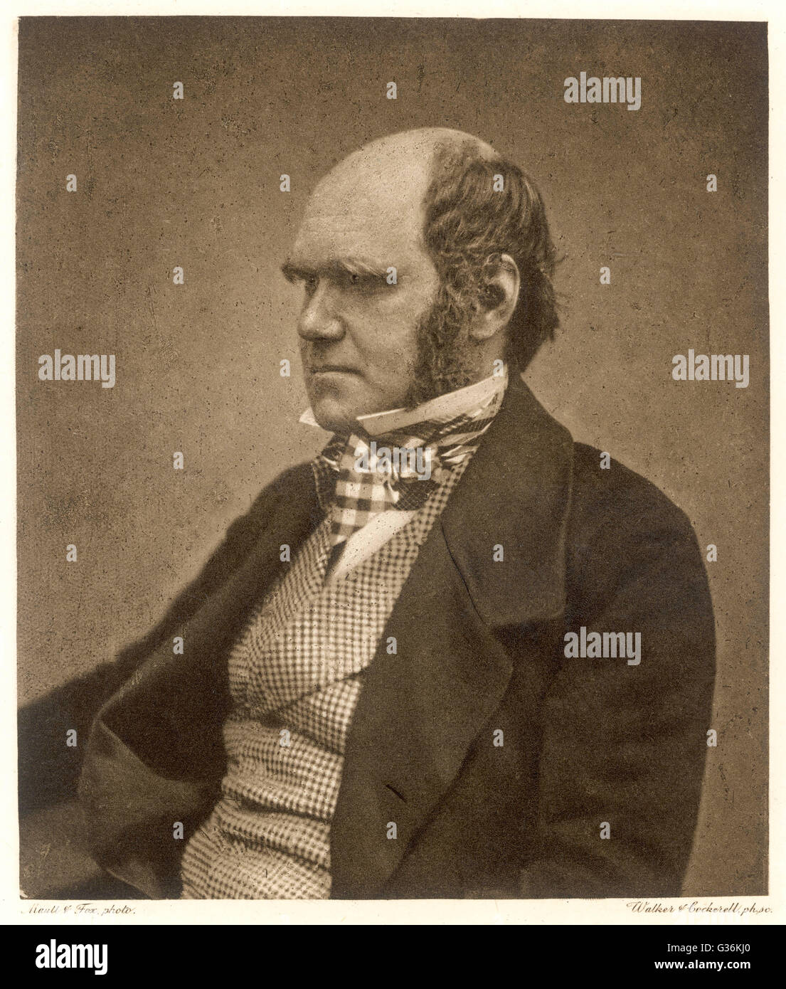 CHARLES DARWIN (1809-1882)  Naturalist  Photographed circa 1854     Date: c. 1954 Stock Photo