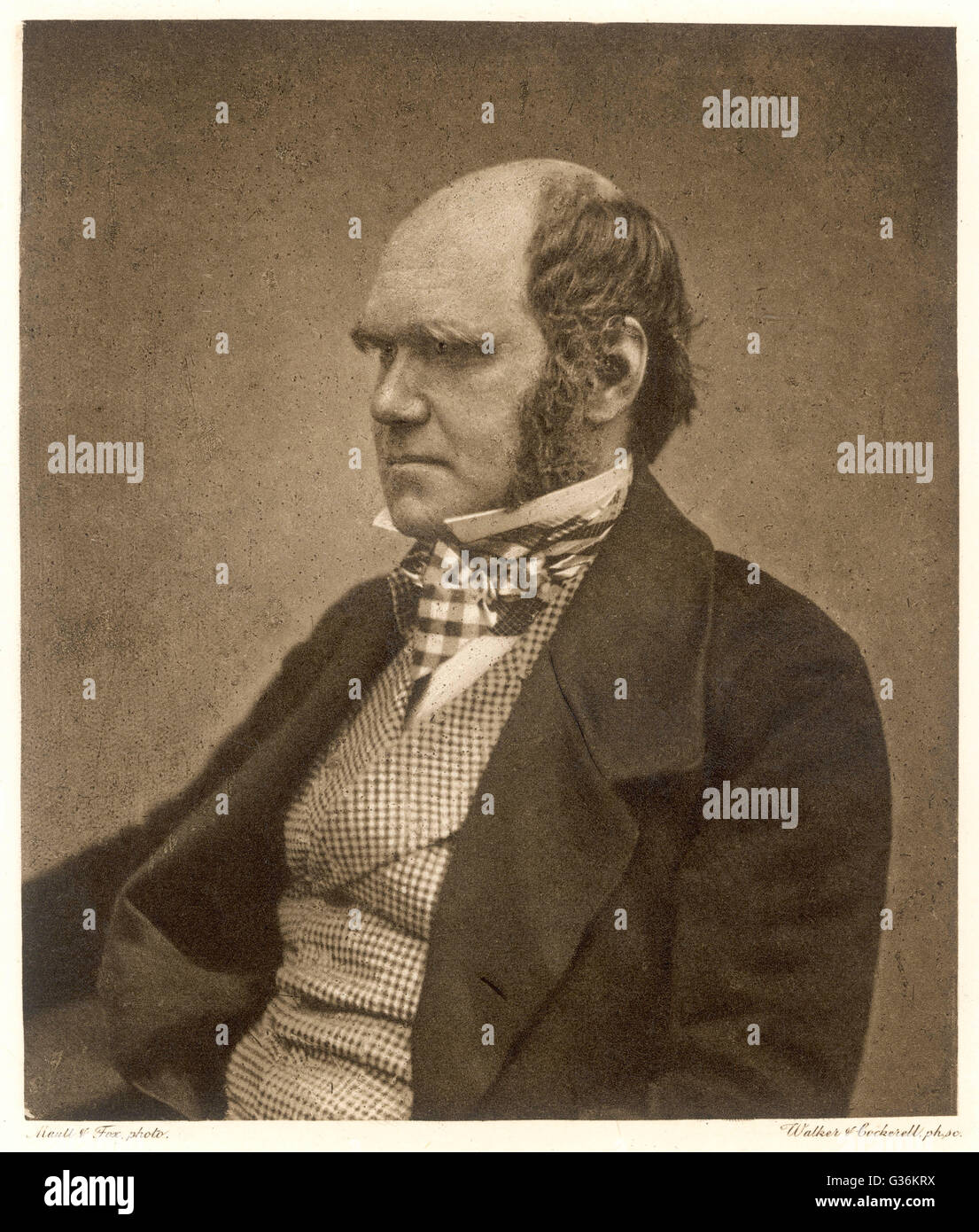 Charles Darwin (1809-1882) aged about 45 Stock Photo