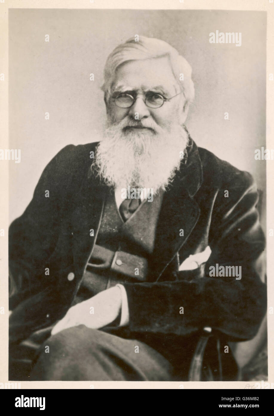 Alfred Russel Wallace (1823-1913) naturalist Stock Photo