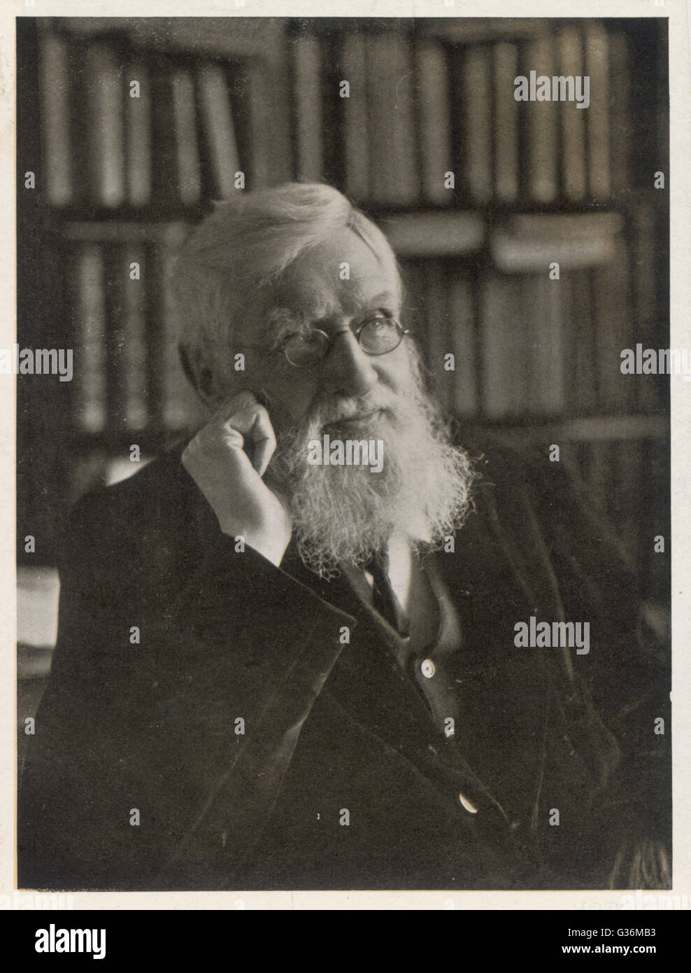 Alfred Russel Wallace (1823-1913) Naturalist Stock Photo