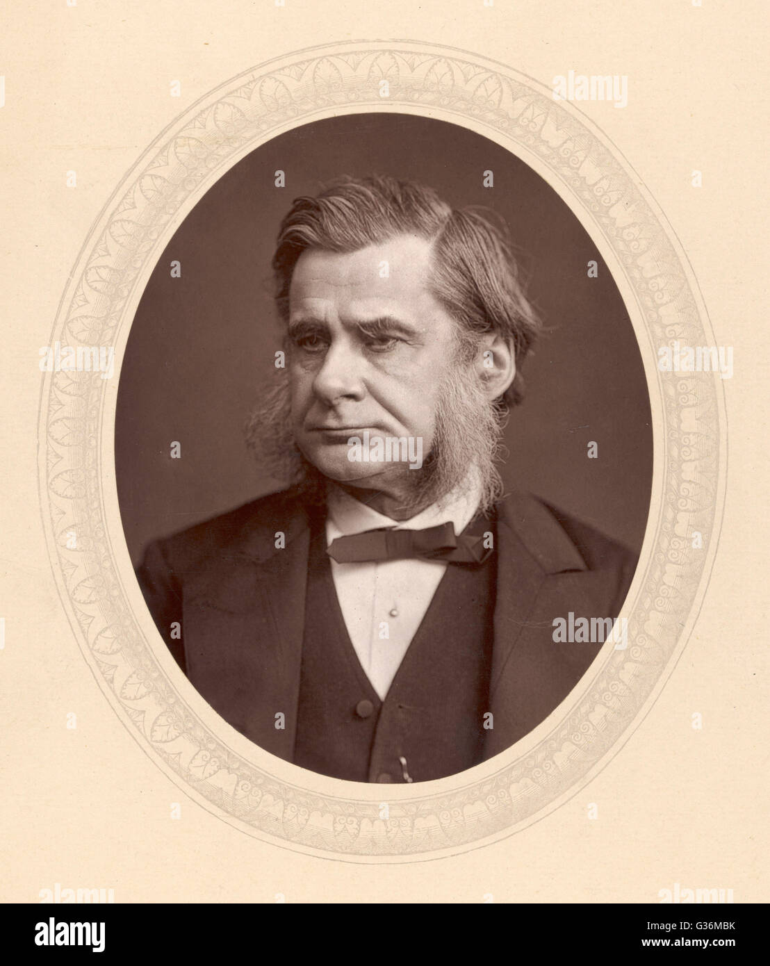 Thomas Henry Huxley Stock Photo Alamy