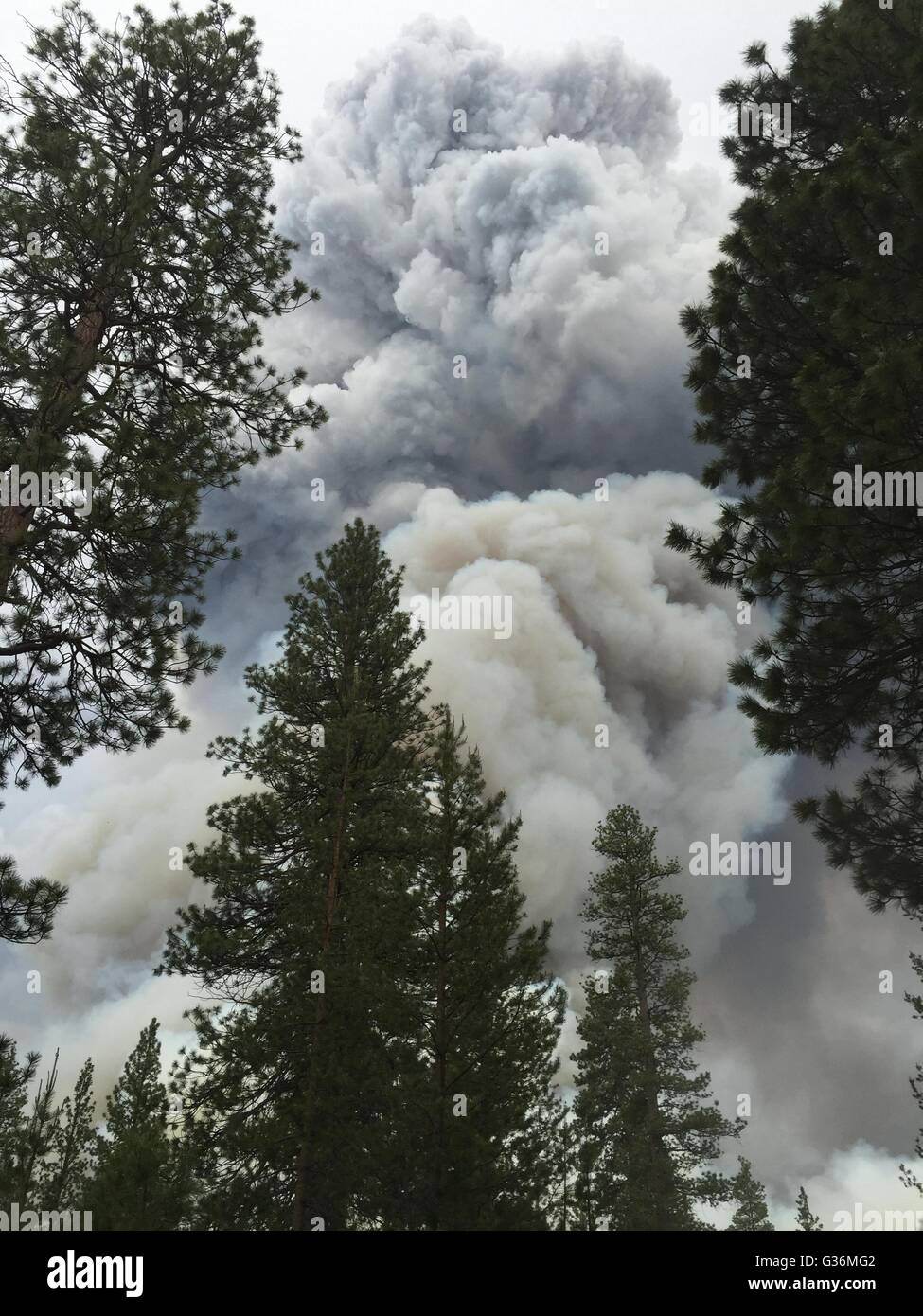 Giant clouds of smoke rise up from the Draw Fire in the Fremont Winema National Forest June 8, 2015 in Chiloquin, Oregon. The fire was ignited by lightening and is growing rapidly due to hot dry and windy conditions. Stock Photo