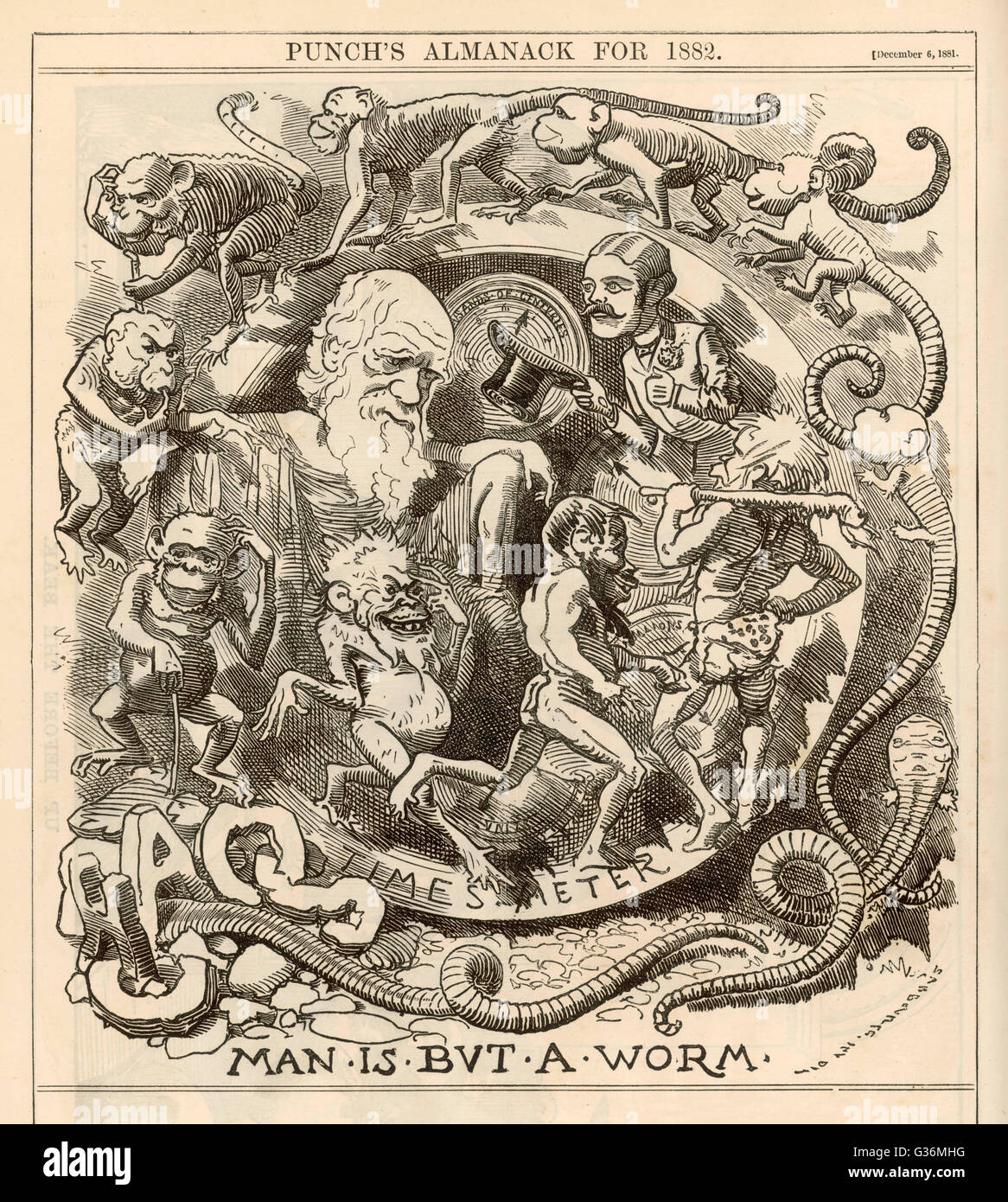 CHARLES DARWIN (1809-1882) satire : Man is but a  worm... Stock Photo