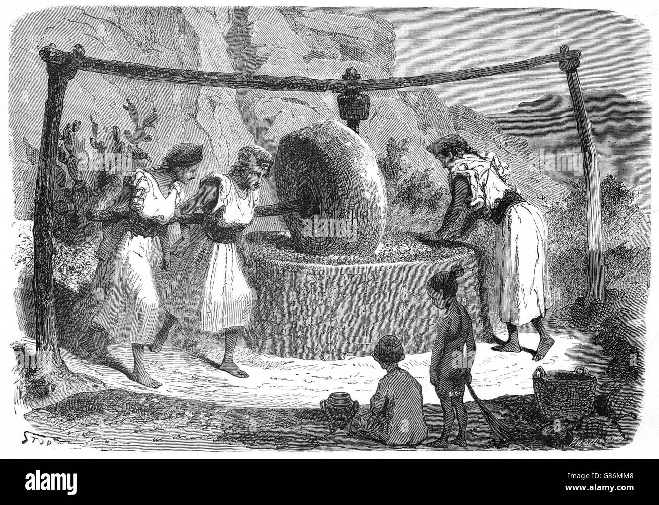 Food Oil Processing High Resolution Stock Photography and Images Alamy