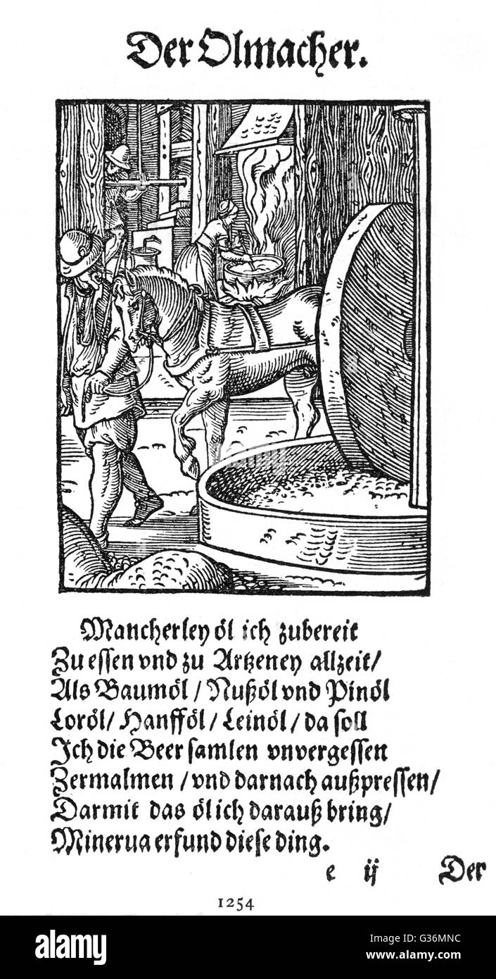 manufacture-of-olive-oil-date-16th-century-stock-photo-alamy